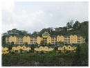 Click on image for larger view